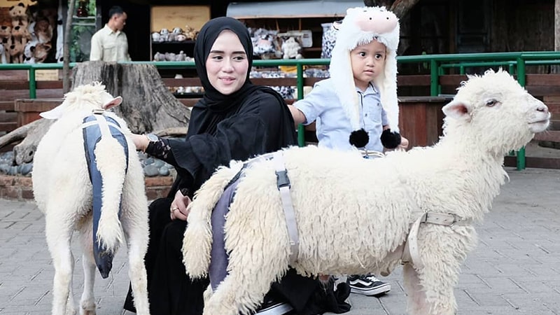 Tempat Wisata Anak di Bandung - Farm House Susu Lembang