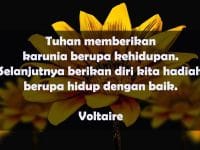 Kata-Kata Bijak Kehidupan - Voltaire