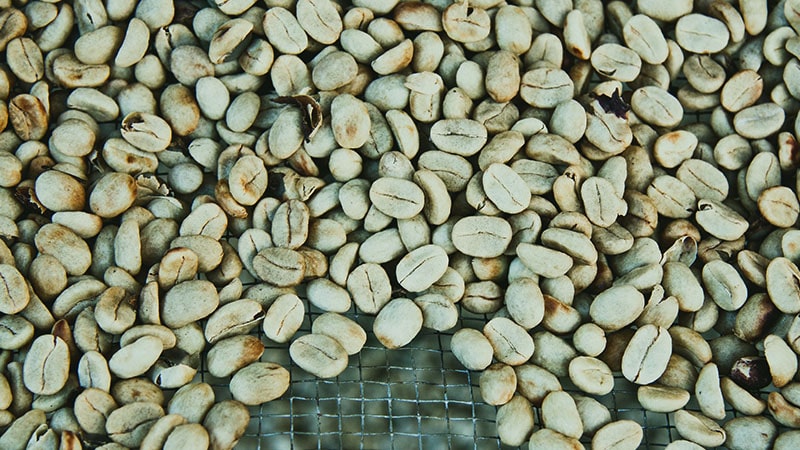 manfaat kopi hijau - detoksifikasi