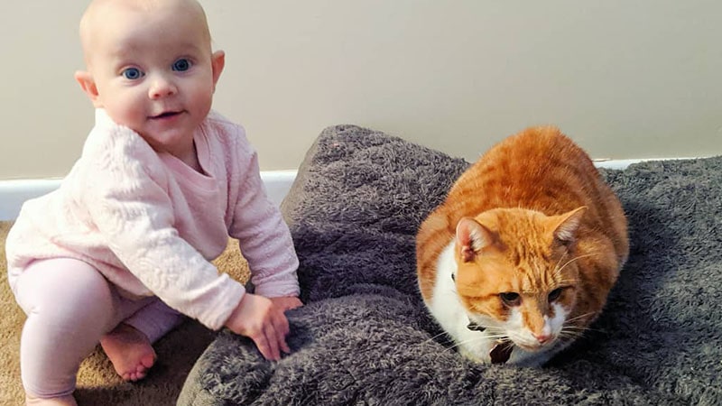 Foto-Foto Bayi Lucu - Bayi Lucu dan Kucingnya