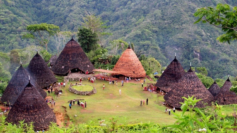 Sejarah dan Jenis Kopi - Desa Wae Rebo Flores
