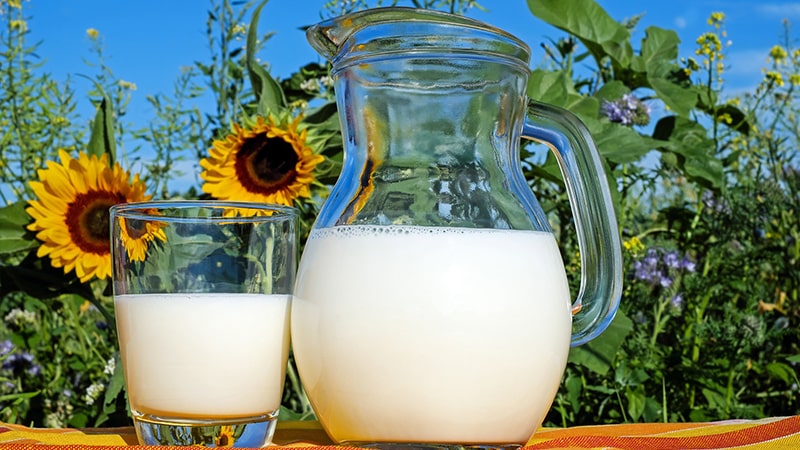 Manfaat Susu Kambing Etawa - Susu Murni