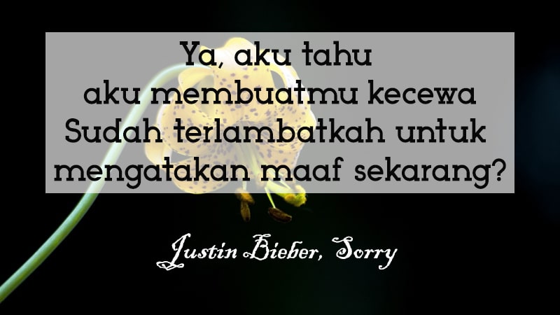 Kata-Kata Minta Maaf buat Pacar - Justin Bieber