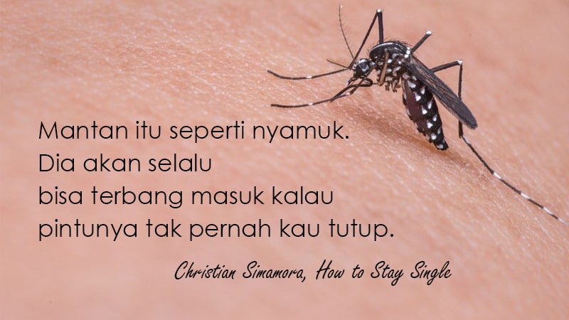 Kata-Kata buat Mantan Terindah - Christian Simamora, How to Stay Single