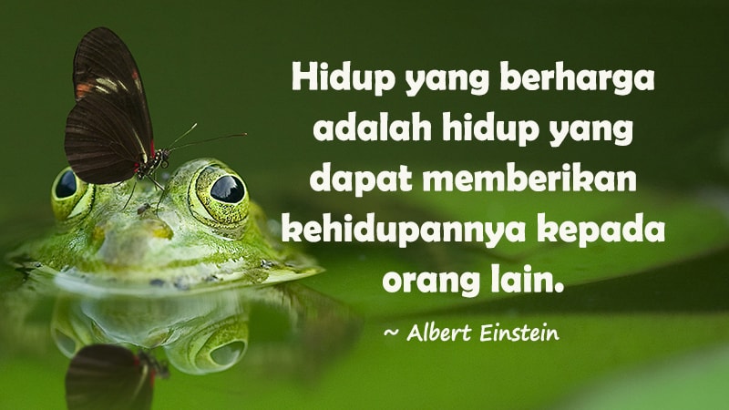 Kata Singkat Menyentuh Hati - Albert Einstein